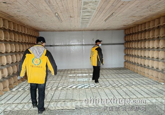 �շ�վ�׹ع鳲���ų� ���س��˳ɿ���
