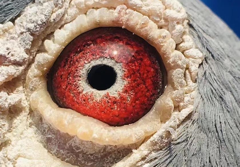 ɰ�ۣ����ۣ���Щ����զ����