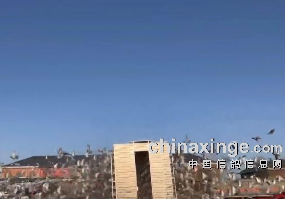 ��ĩ���������������������о������½���