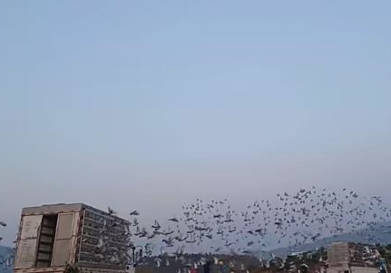 ��Сʱ500������ ����������������