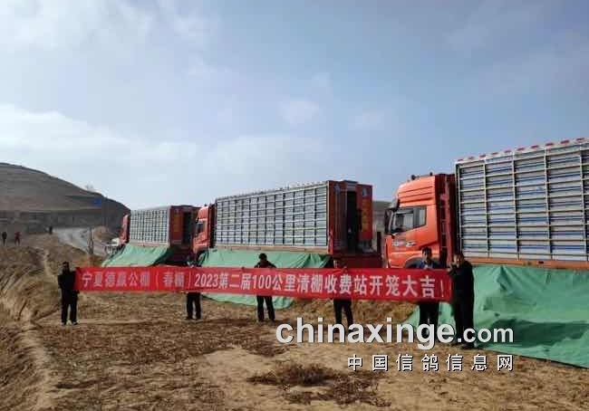 ��Ӯ�����ʸ�������12501��ս��鳲��