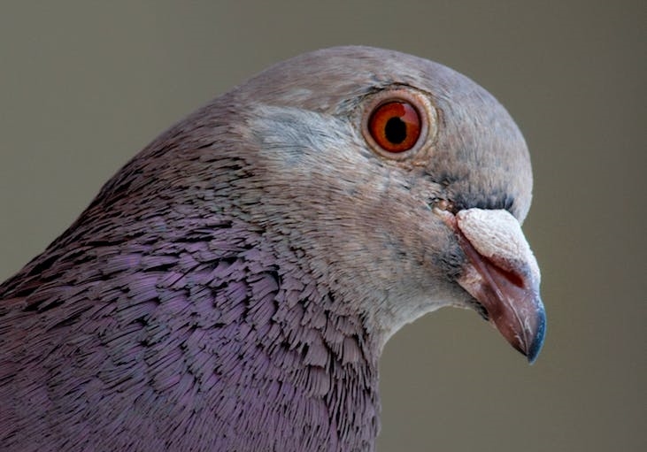 ��Զ�����������½���