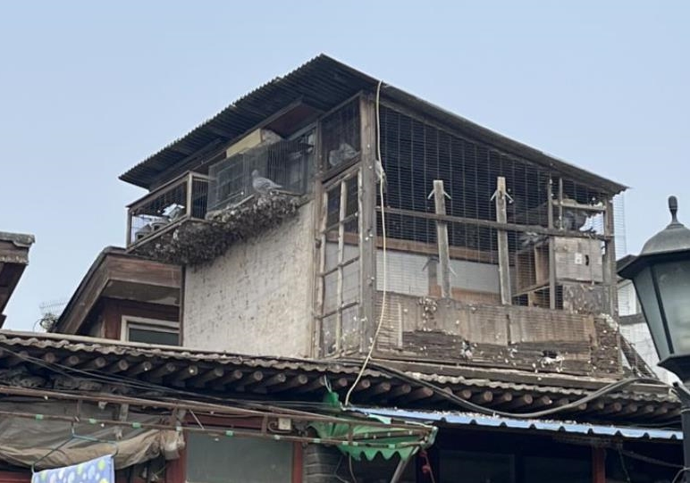 ��ͬ���룺�����Ⱥ ��ש����