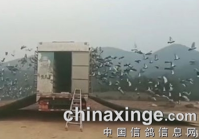 ����ʯ�����ɾ����������˼���硱 �ھ������Ӯ��