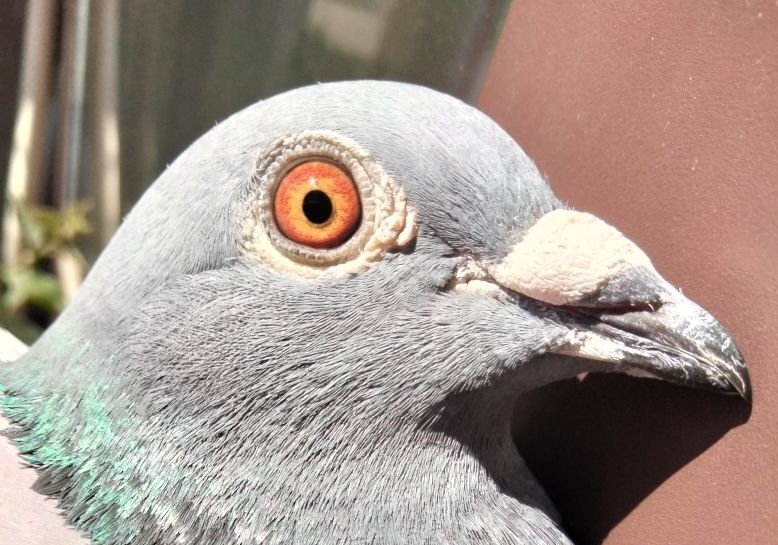 �����ֵ����˲�