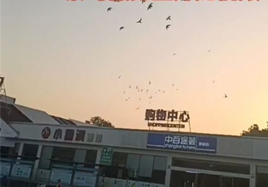 ����Ӯ����Ӯ ������һ·ս������