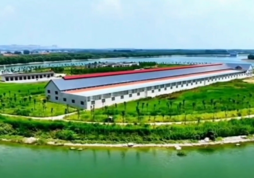 �����¸ߵ�-ɽ���ְ����ʹ���