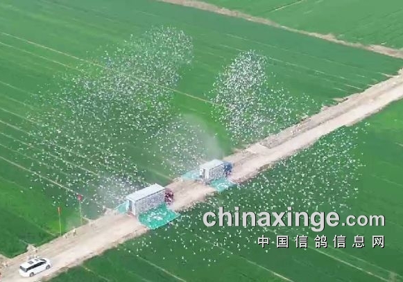 ���������贺���һ���ʸ���Բ���ɹ���