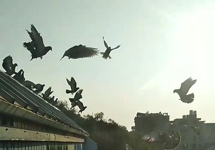 ѵ�ų��ڣ��������ǹؼ�