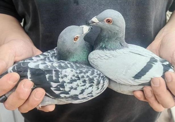 �����Ĺ���Բ���չ� �����ض��Ǿ�