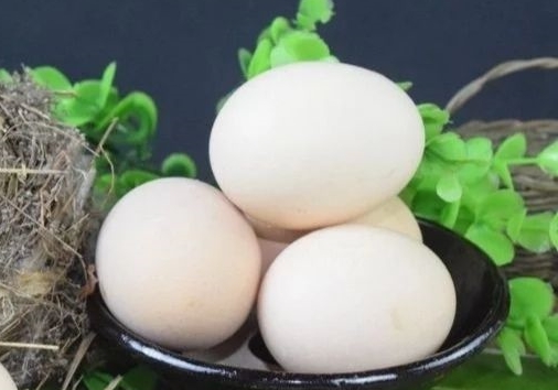 ��һ�Ѹ����׳��ɼ���