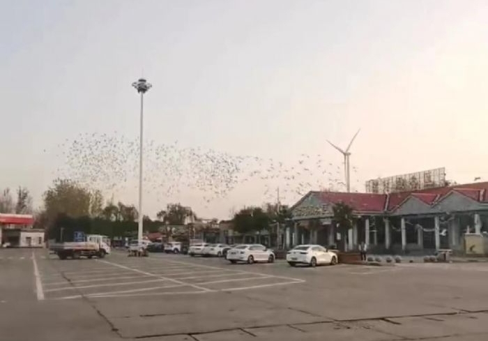 �ٿ� ������¡��ǰʮ���ɶ����