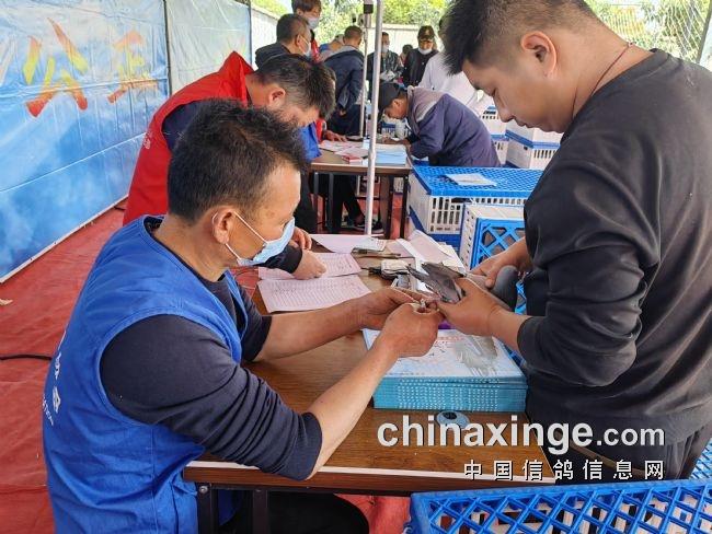 �������Ŷ����Ӯ�ң��������������ʸ���Բ���ɹ���