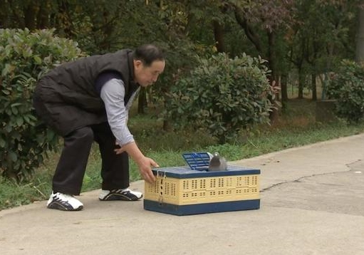 ������λ���ӡ������ѡ� ������������