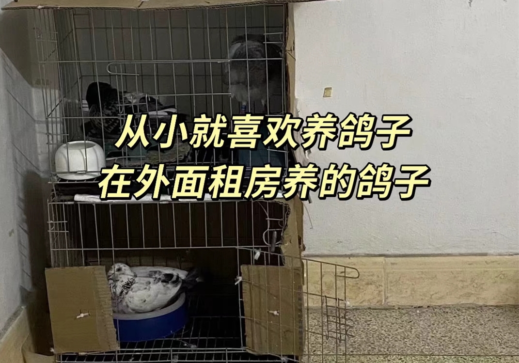 ���������˵������¼