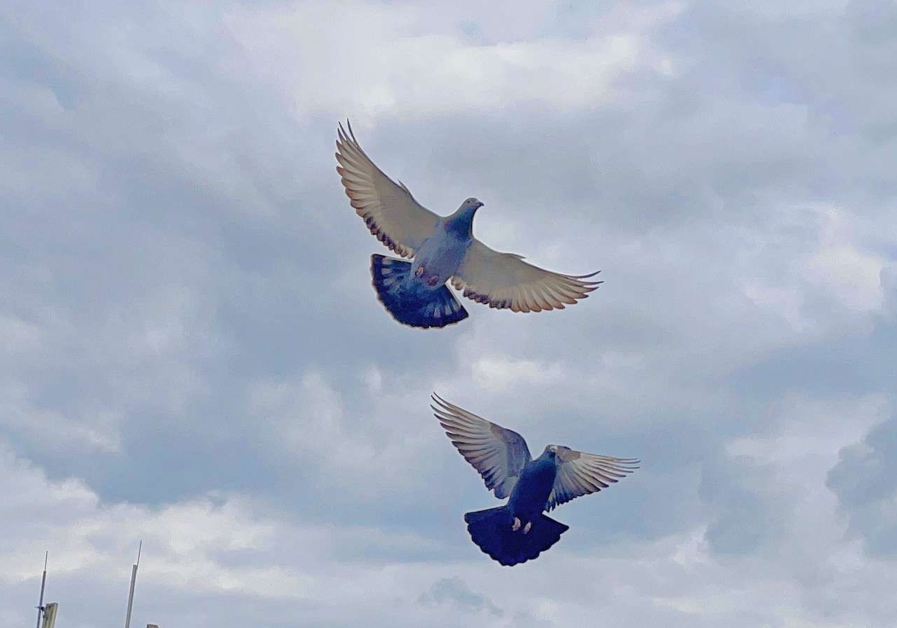 ���ι顷��14�£��շ�վ��ˮ �����ѷ���