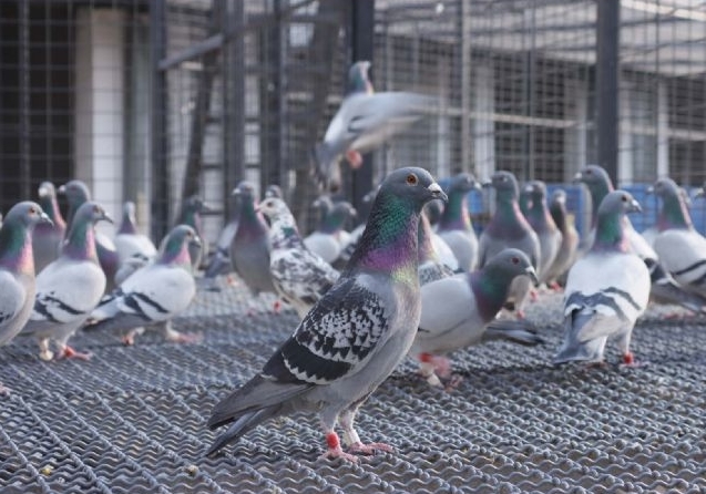 ������� �����ٹ�����