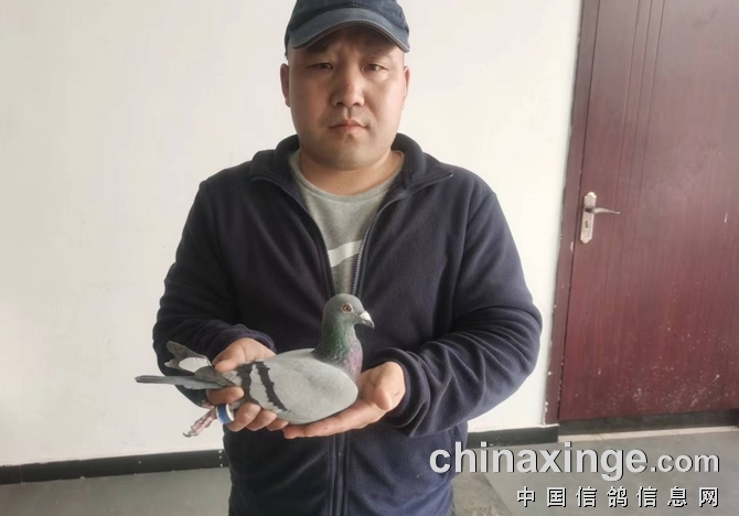 ��򿪴���8425���ʸ���ǰʮ�������