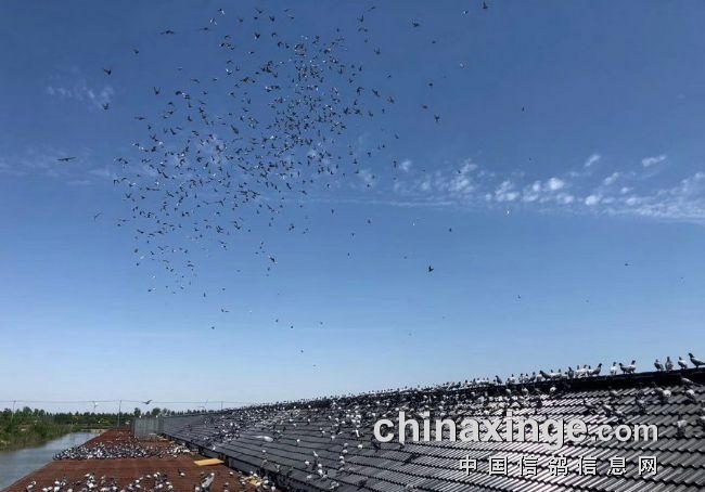 ����������䲻��