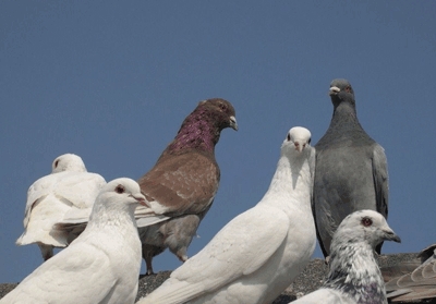 ���ι顷��15�£����ﻹ��Ƿ���ʣ�