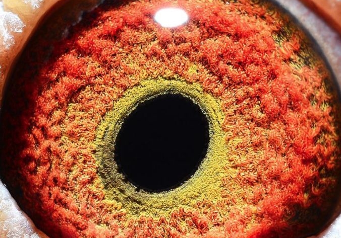 ����ע����Ʒ