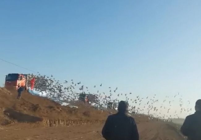 ���������� ��򿪴������������չ�����