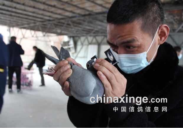 һ����ߣ������������� ������ô�ţ�