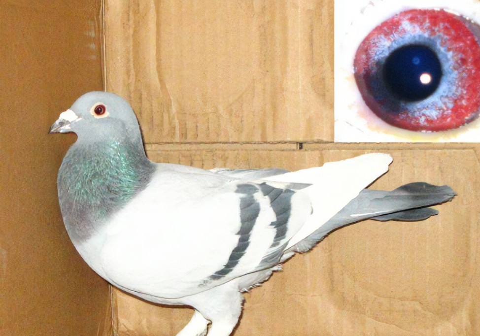 ���ｻ��ǰ�ĵ���