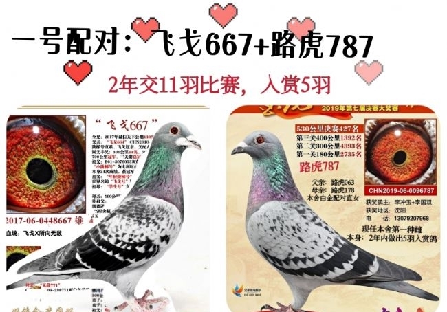 һ�Żƽ���ԣ�3�꽻15������6��