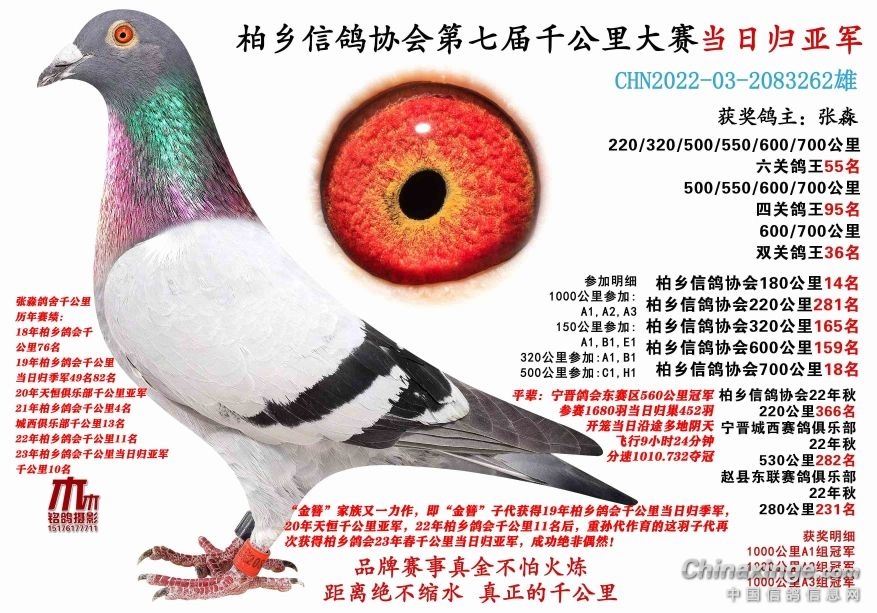 �ɼ���̫ͻ�����ٸ���������ǧ�����Ǿ�