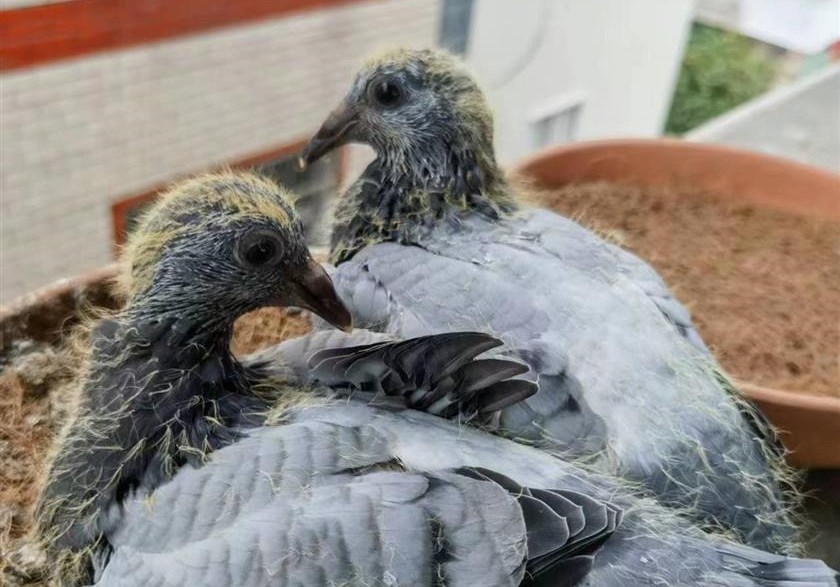 �¸��������¶��� ���ҵĴ����׸�