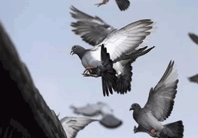 �׸뿪�ҷ���