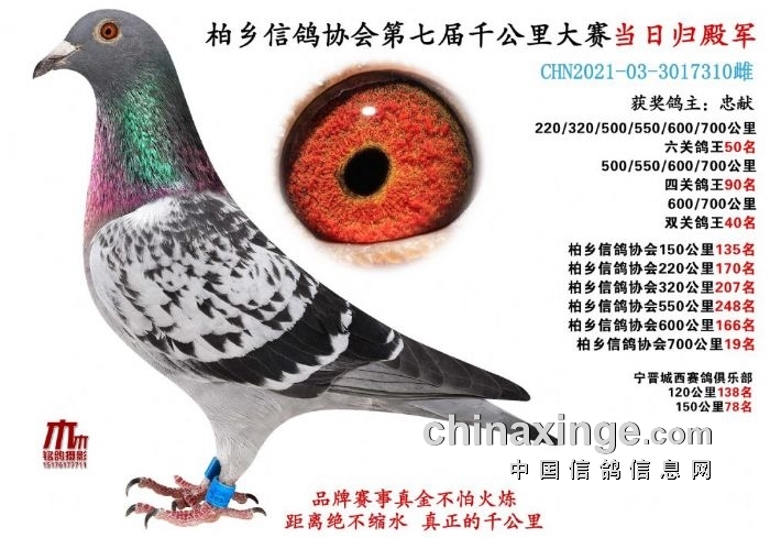 ���һ��Ѫ ����רҵ�����״����