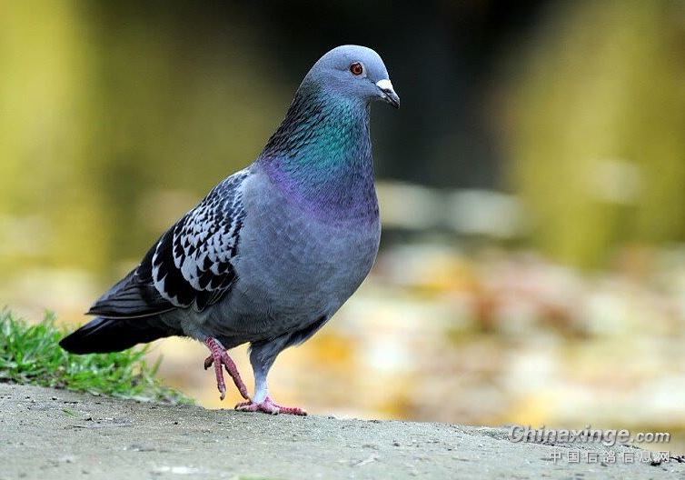 ���������λ�����