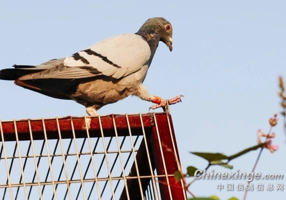 ��о���ˬ�̼������һվ40���9��