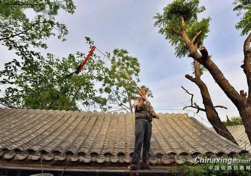 ���������ȶ�������ʧ�� �������±�