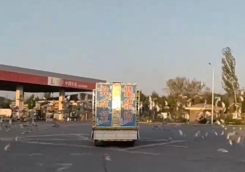 �����Ǿ�4���ӹ鳲 �������������һս