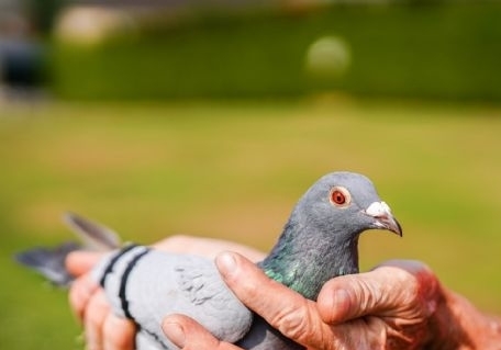 ����ǧ��������ģ�