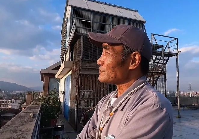 讨论：一位城市养鸽人的自我修养