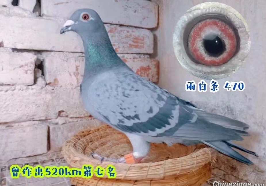 ���ｻ���ӵĲο���ʲô��