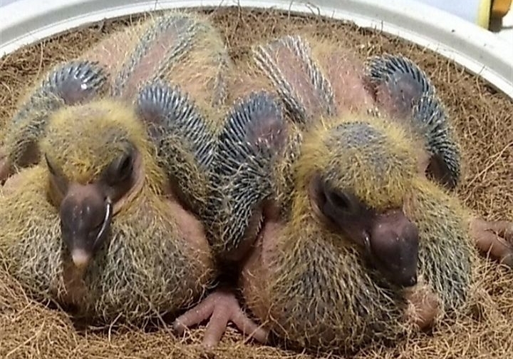 �ھ��ϱ�һ���йھ���