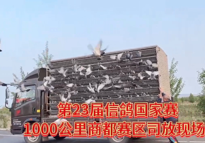 ������뵱�չ� ��Щǧ�����������ʮ��