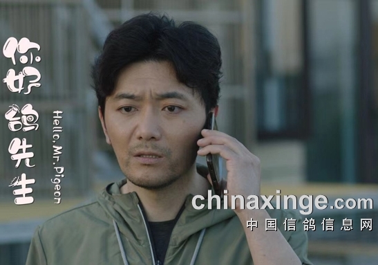 《你好！鸽先生》观后：新尝试新突破