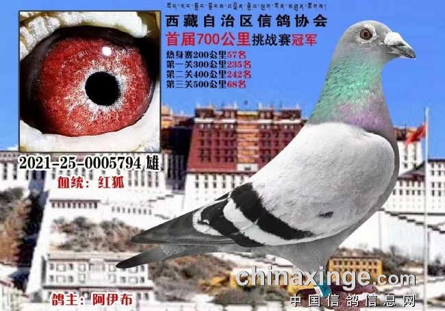 ���ظ����ս700���� ��ԭս��ǰʮ����