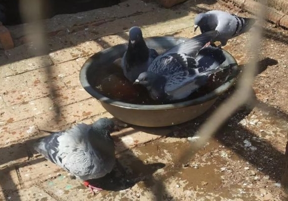 ��̸�ٲ�������ϴ�� �����º�