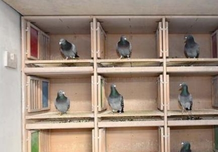 ���ι顷��22�£���С�ӱ�����