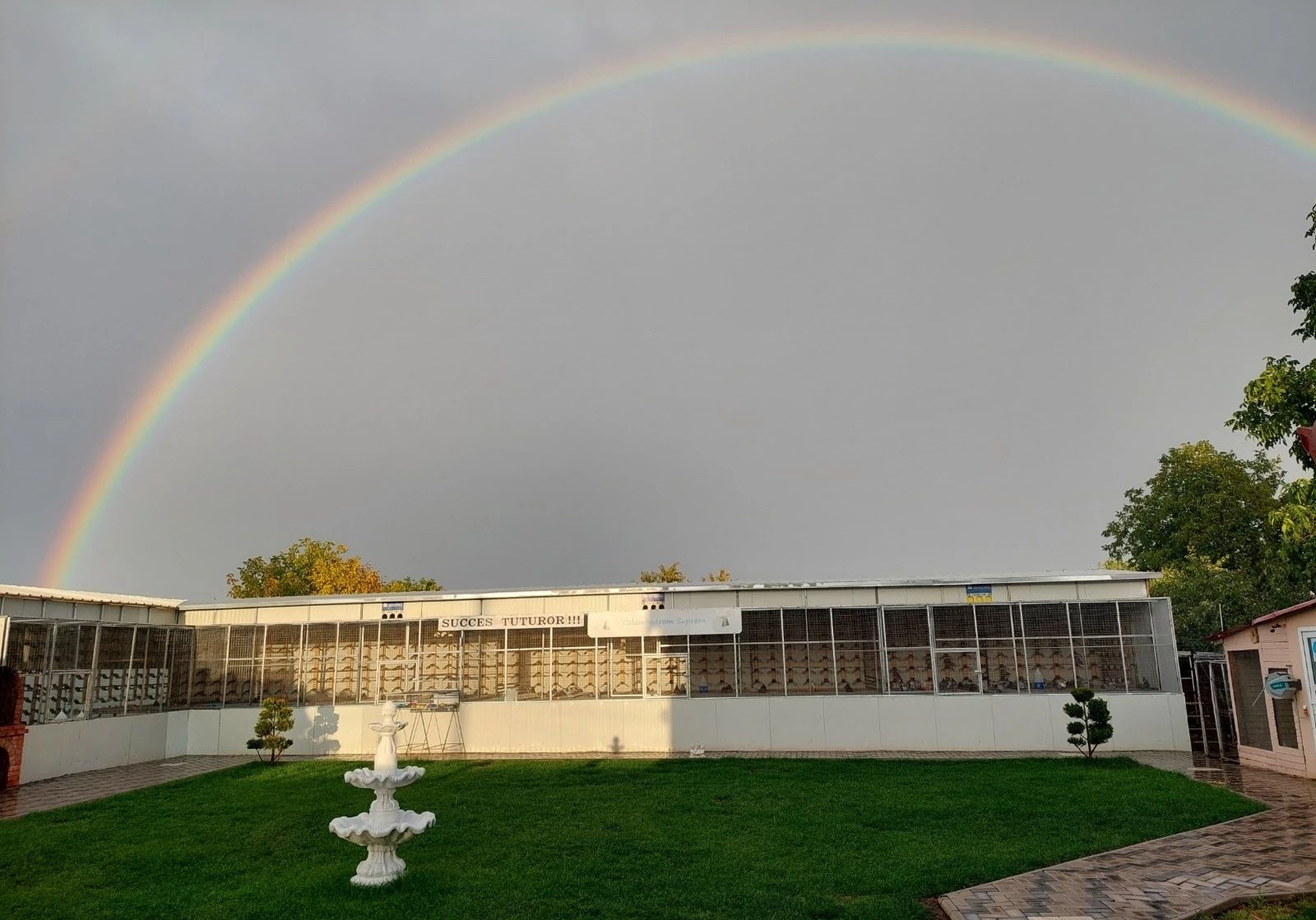 ���170+�ҹ�������ϵ�У�6��