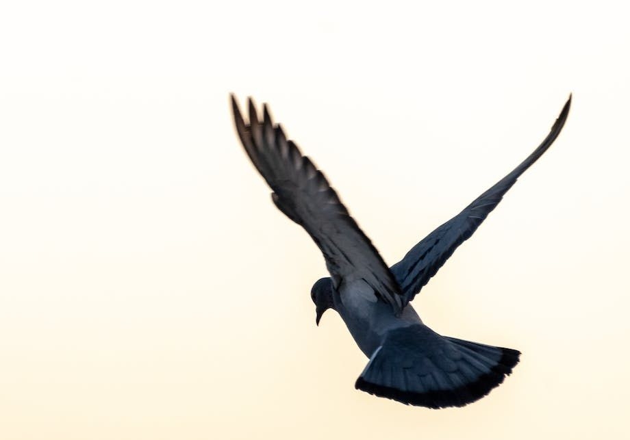 ר�����־�����ӣ�Ʒ�ʺͱ������û��ϵ