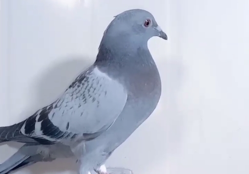 5�������� ��������ӮǮ�ࣿ