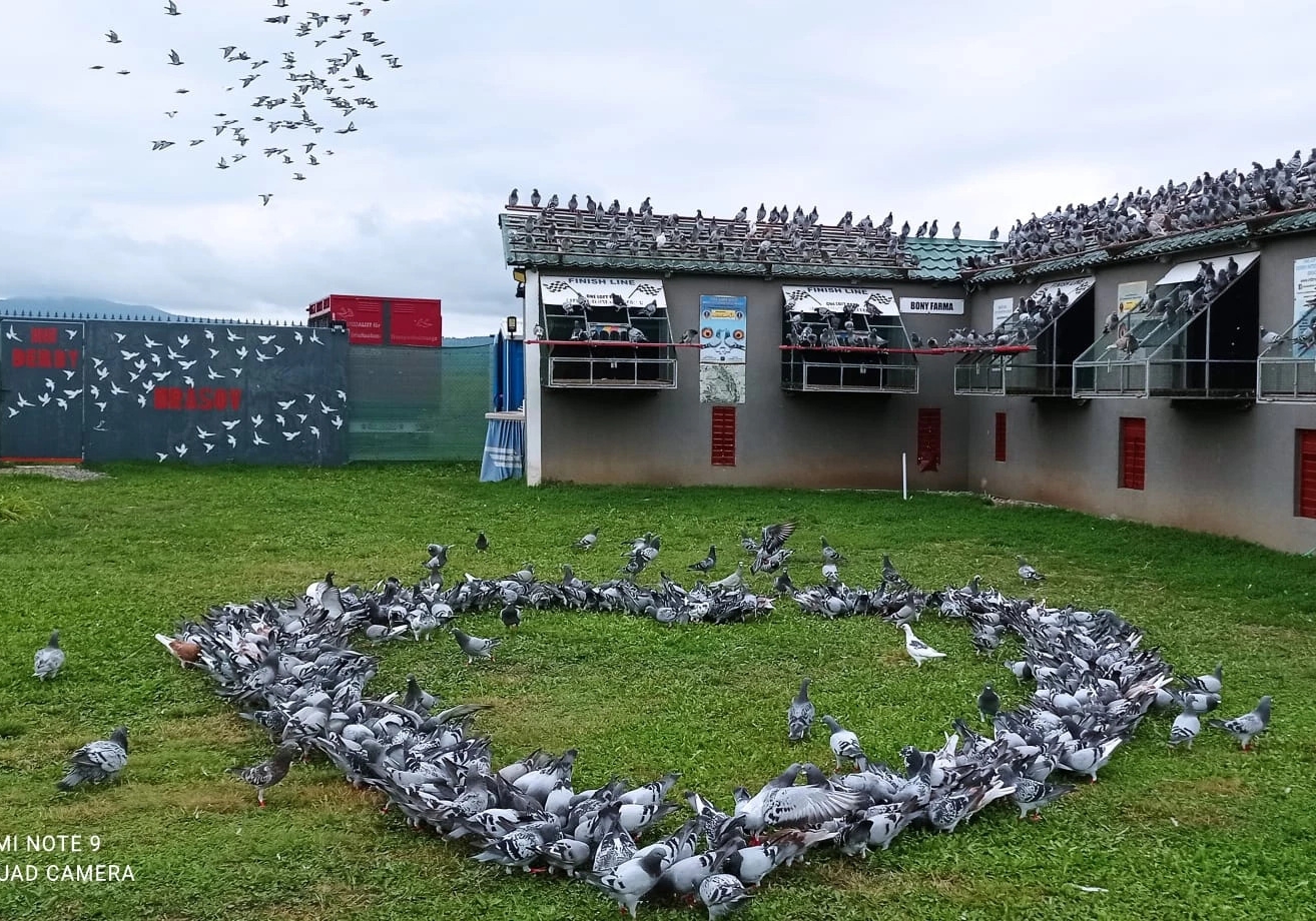 ���170+�ҹ�������ϵ�У�7��